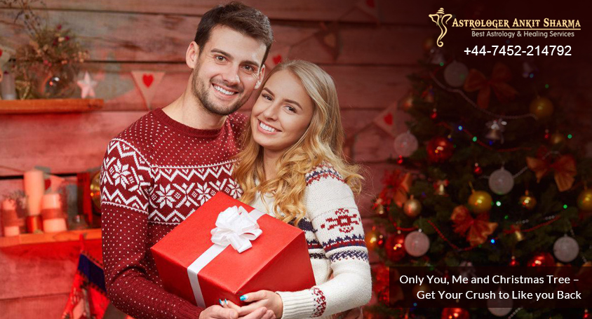 Only You, Me and Christmas Tree � Get Your Crush to Like you Back